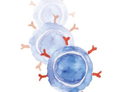 CAR T-cell therapy CAR T-cell therapy Service