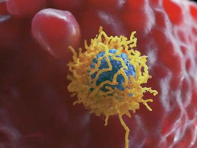 Immunotherapy Immunotherapy